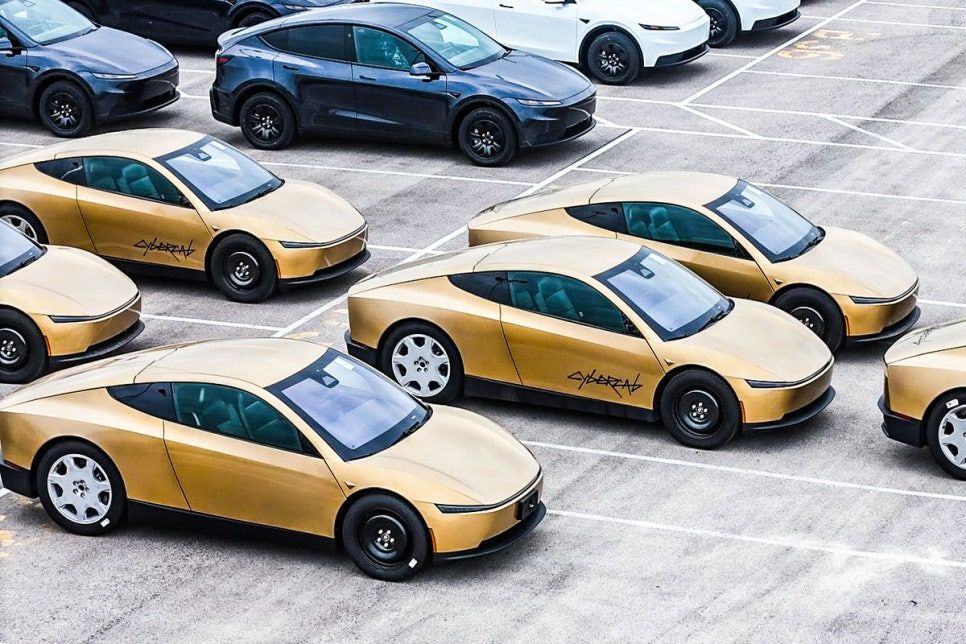 Would You Ride in a Car With No Steering Wheel? Tesla's Robotaxi Just Got the Green Light
